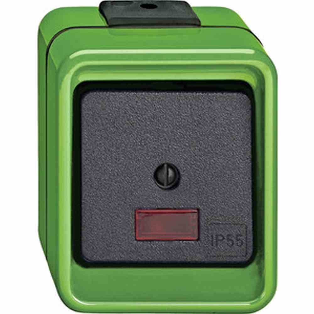 AGRAR Wipptaster, grün, 1W, Aufputz, IP55, ohne Aufdruck, matt 